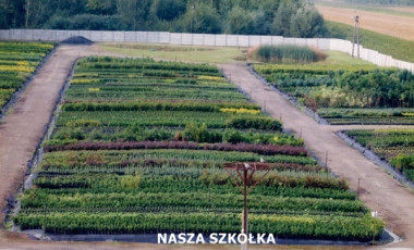 SZKÓŁKA MATRASZEK