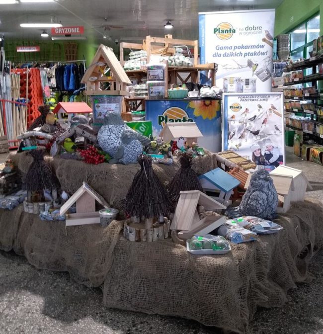 zimowa stołówka dla ptaków