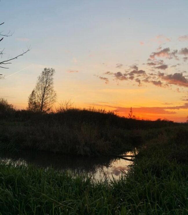 322775612_562432988746672_7330937934976116004_n