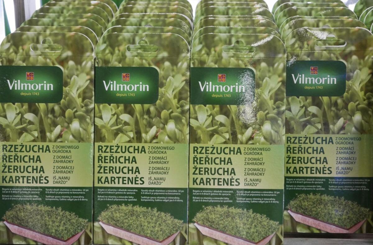 Zima czas na kiełki i mikro liście