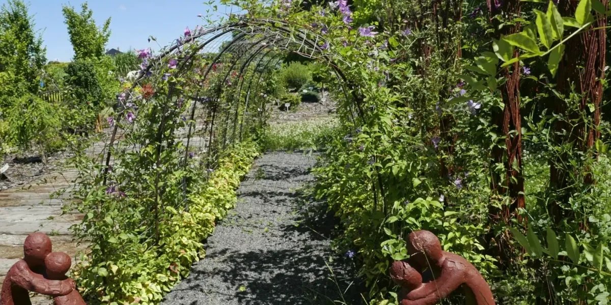 Pnącza - rośliny uniwersalne